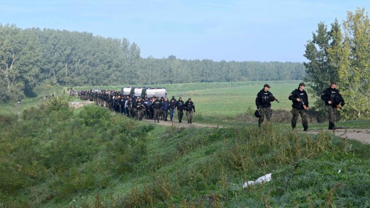 Serbie : plus de 200 migrants arrêtés lors d’un raid policier