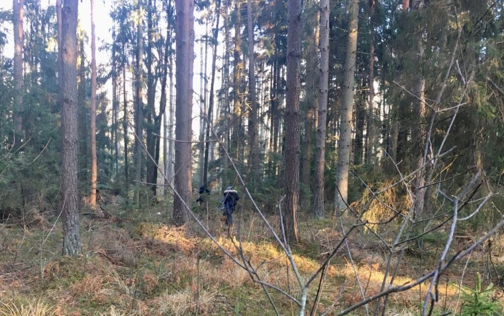 « Ils boivent de l’eau souillée » : en Pologne, des migrants terrifiés par les renvois en Biélorussie