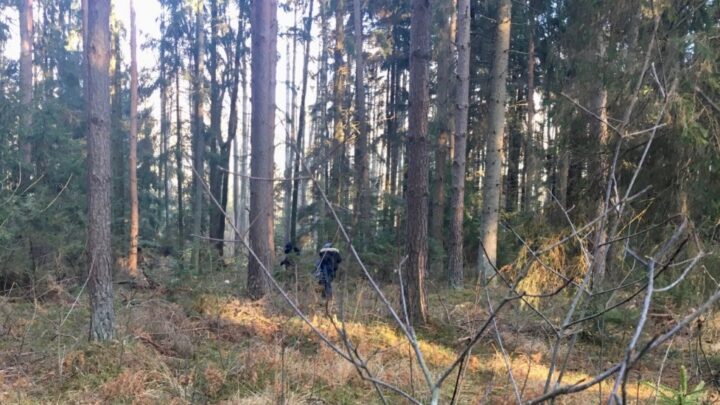 « Ils boivent de l’eau souillée » : en Pologne, des migrants terrifiés par les renvois en Biélorussie