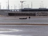 Une centaine de migrants secourus dans la Manche en une seule matinée